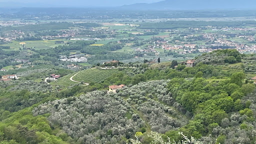 Residence montefiore - Visual