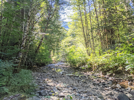 Paradise Creek - Thumbnail