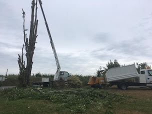 Photo n°24 de Elagage Debarre Stéphane à Allonnes (Service d'élagage)