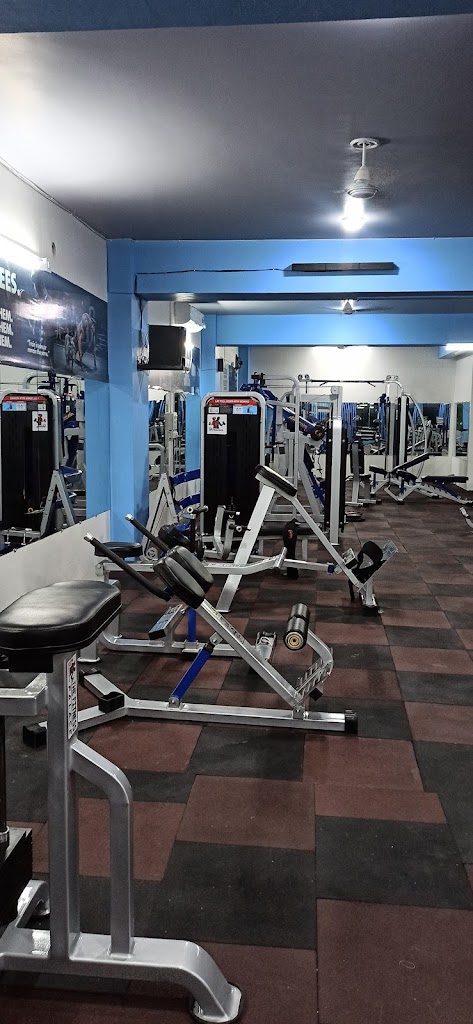 The Fitness Palace Best Gym In Dehradun Graphic Era