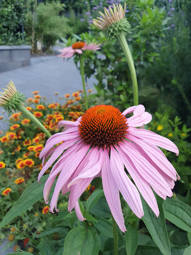 Garten- und Hausmeisterservice Dahlke - Thumbnail