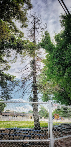 Sonoma Elementary School - Thumbnail