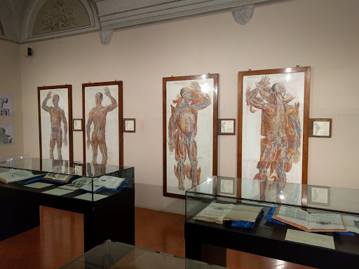 Museo della Grafica Palazzo Lanfranchi - Thumbnail