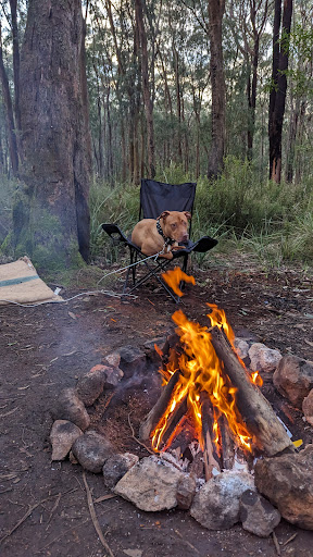 Kurth kiln Scout Loop - Thumbnail