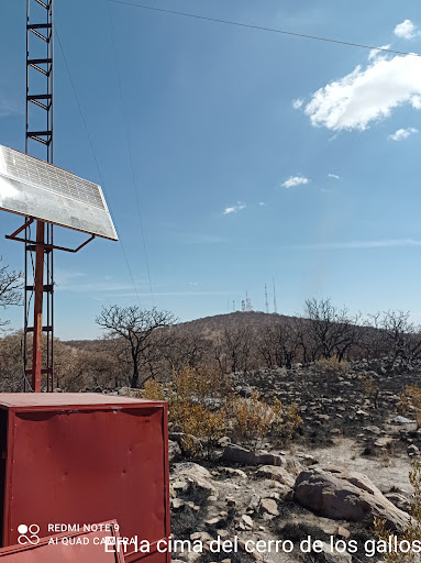 El roble, cerro de los gallos - Thumbnail