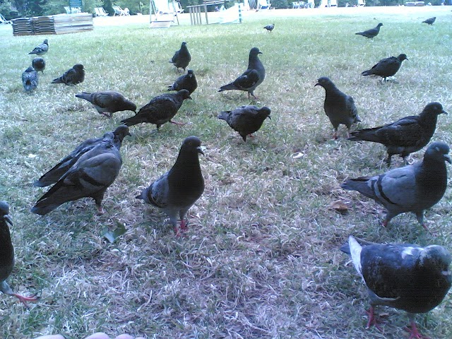 Green Park