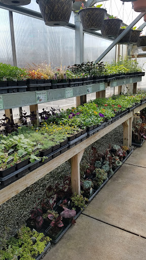 Urban Trail Gardens - Thumbnail
