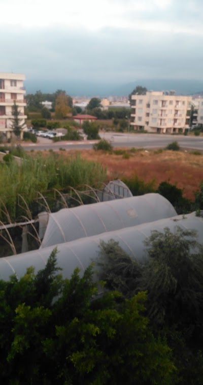 Photos of Hotel Tayfun