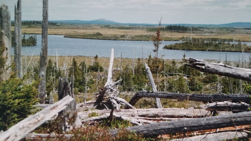 Bay Du Nord Wilderness Reserve - Thumbnail