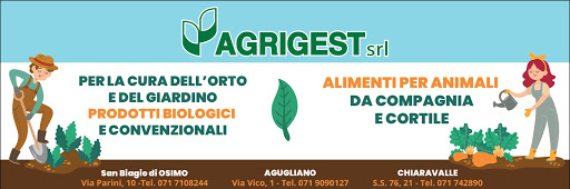 Agrigest srl - Visual