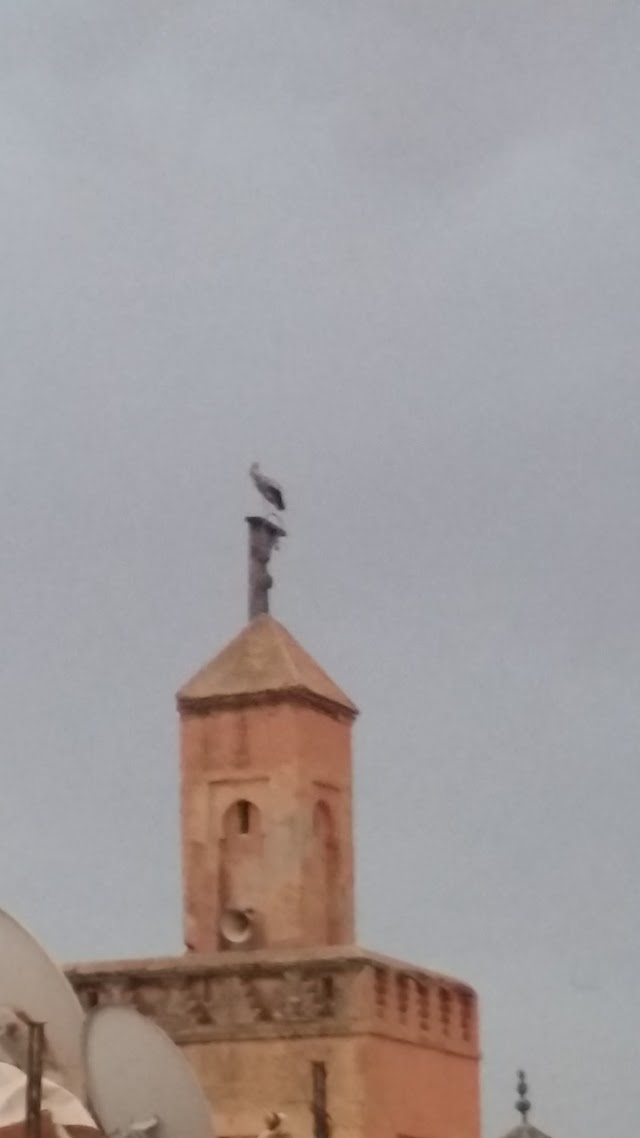 RIAD DAR PALMYRA