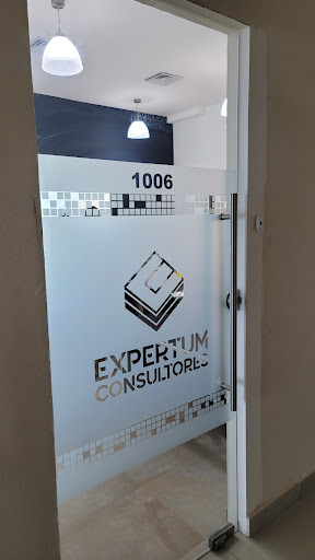 Expertum Consultores Gallery - Mexico
