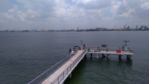Punggol Promenade Nature Walk - Thumbnail