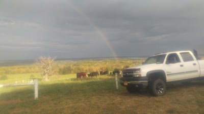 The Farm Store at Big Mamou Organic Farm