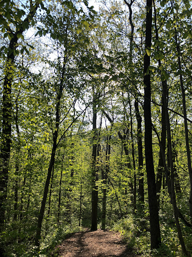 Franklin Grobb Memorial Pond