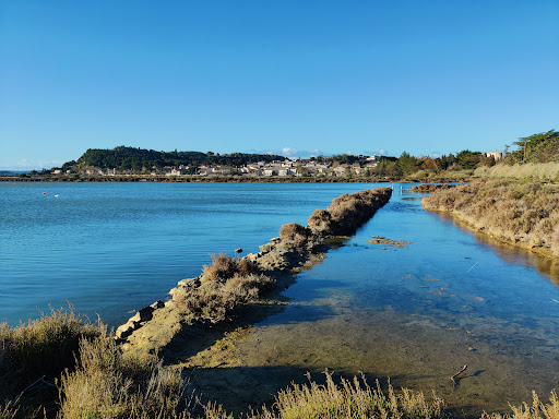 Étang de Peyriac de mer - Thumbnail