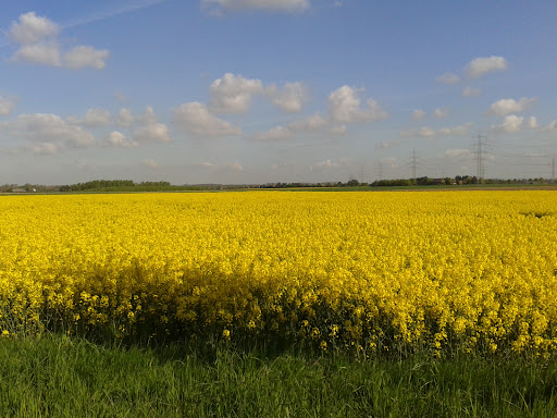 Grevenbroich-Kapellen-Wevelinghoven - Thumbnail