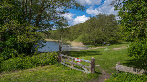 Badestelle Westensee Gallery - Germany