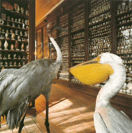Musée Henri Dupuis - Thumbnail