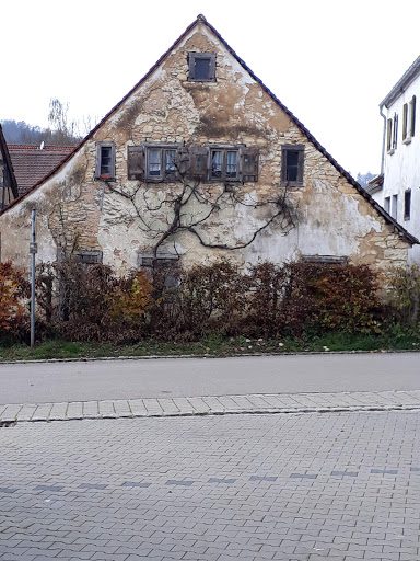 Windischhausen - Visual