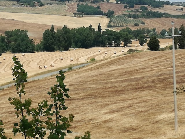 Val d'Orcia