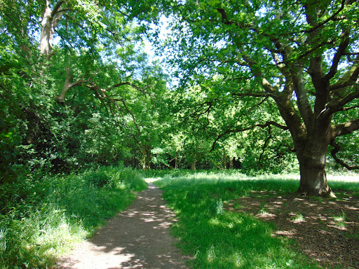 Coulsdon Common - Thumbnail