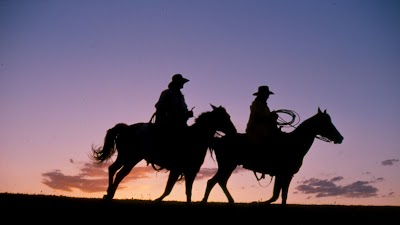 Yampa Valley Bank