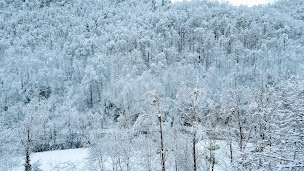 Photo n°23 de Skymist maison d'hôtes à Biert (Sauna)