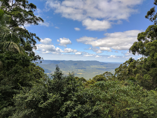 Washpool National Park - Thumbnail