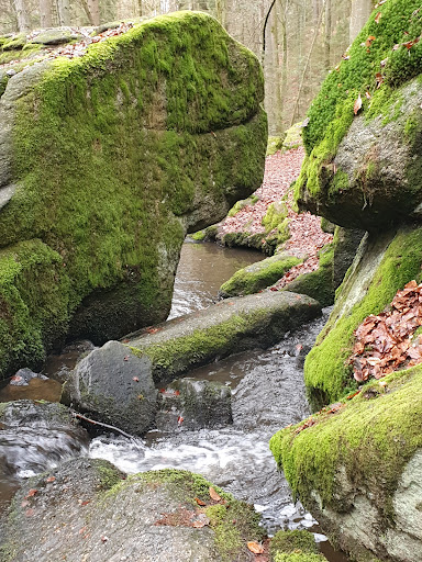 Hölle Nature Reserve - Thumbnail
