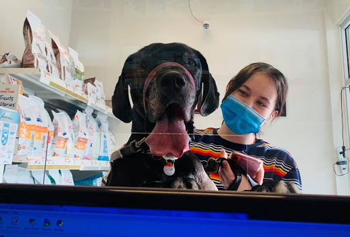 Alpha Animal Hospital Gallery - United States