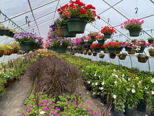 Lamoureux Greenhouses Gallery - United States