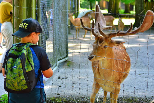 Wildpark Eichert - Visual