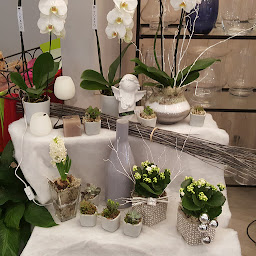 Photo n°13 de Malthiery Fleurs à Châtillon (Fleuriste)