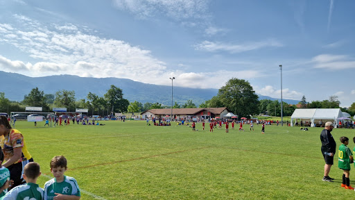 Stade Alfred-Comoli - Thumbnail