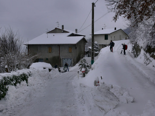 Le Case - Visual
