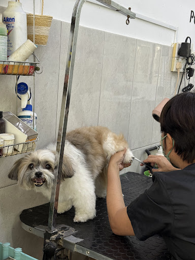 Pets Nanny Boarding and Grooming service