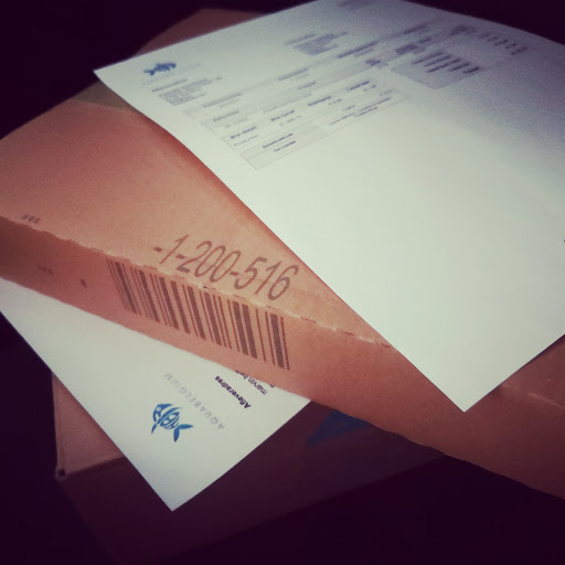 AquaBelgium - Thumbnail