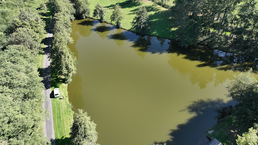 Etang de la grande Ouche - Thumbnail