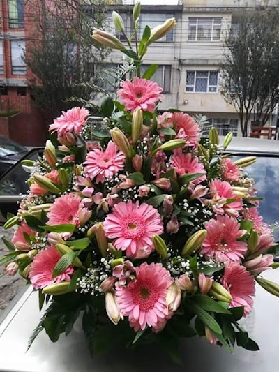 Photos of Florist Angel