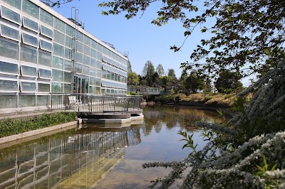草津市立水生植物公園 みずの森