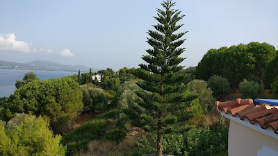 Photos of Kosta Maria
