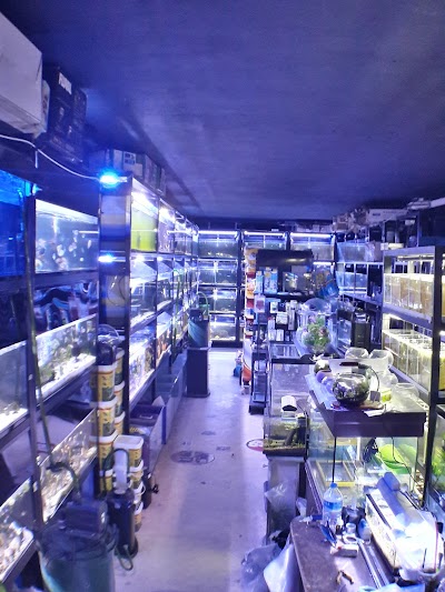 Flora Pet Shop