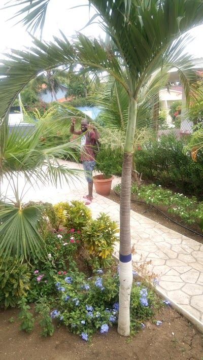 Photos of Caribbean Flower Appartementen