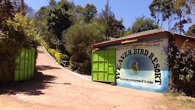 Photos of Weaver Bird Gardens