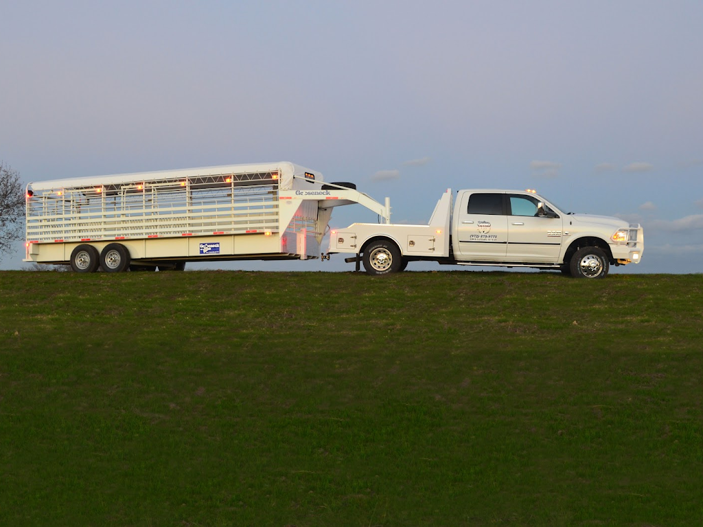 Deagen Trailers & Truck Accessories, Inc.