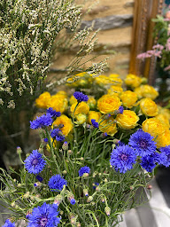 Photo n°7 de Verdoyant à Rennes (Fleuriste)