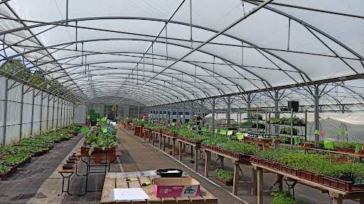 Photo de Les Jardins Des Cuvières à Igney (88150)