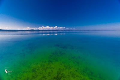 Photos of iSimangaliso Wetland Park