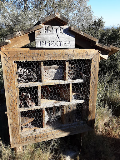 LPO Herault - Regional Center of Saving Wildlife - Thumbnail